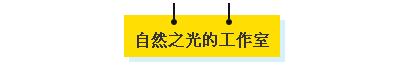 一整面墙都是书 这样的书房装修敢不敢尝试