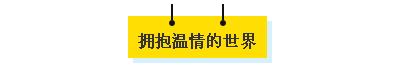 一整面墙都是书 这样的书房装修敢不敢尝试