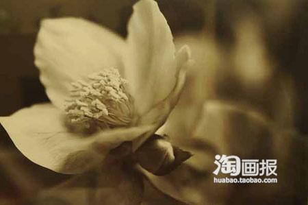 靠网购搞定装修 40图晒金秋48平绝美小户型(图)