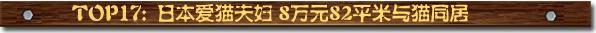 TOP17：日本爱猫夫妇 8万元82平米与猫同居