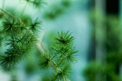 5大家居装修风水禁忌 难怪最近总是不顺心