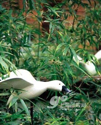 阳台风景这边独好 8种别致装饰品美化你的阳台