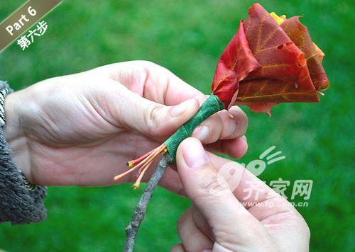 垃圾“变身术” 干枯红枫叶变艳丽玫瑰花装饰