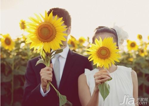 太阳花花语是什么 太阳花有哪些花语