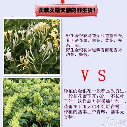 山银花与金银花的区别有哪些