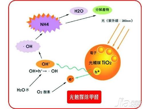 油漆的危害有哪些 油漆味怎么快速去除