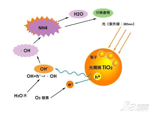 甲醛的危害 怎么除甲醛最有效