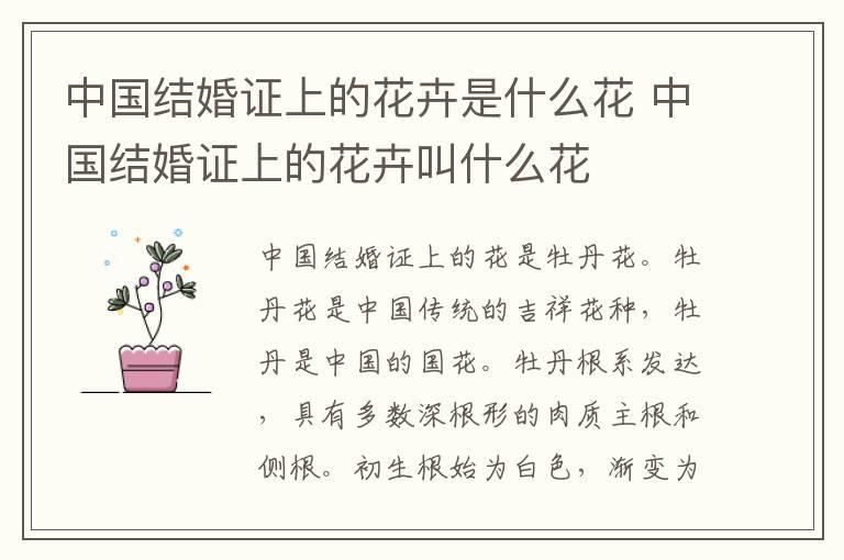 中国结婚证上的花卉是什么花 中国结婚证上的花卉叫什么花
